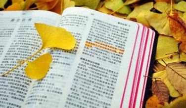 處境化和口語化地詮釋聖經