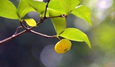 罪是與神疏離