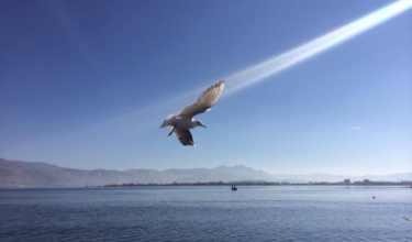 研經時要理解時代背景