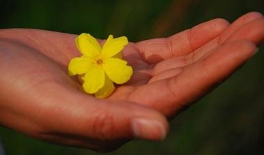 「祈求就给」说的是祷告吗?